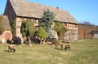 Bauernhaus kaufen in 38448 Vorsfelde, Bauernhof / Resthof mit landw. Flächen / Haus mit großem Grundstück