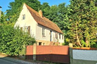 Haus kaufen in 76891 Busenberg, Idyll im Dornröschenschlaf - nur für echte Eroberer und Schaffer geeignet!