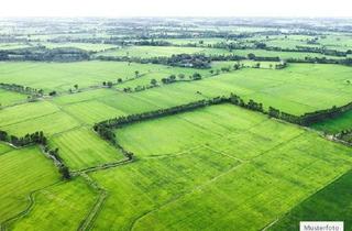 Grundstück zu kaufen in 99996 Menteroda, Land- / Forstwirtschaft in 99996 Unstruttal, Am Keulaer Fußsteige