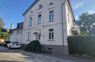 Wohnung mieten in 55543 Bad Kreuznach, Renovierte 2-Zimmer-Wohnung im Dachgeschoss