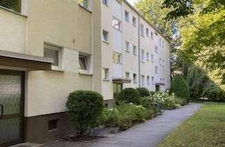 Wohnung mieten in Corneliusstraße 6a, 12247 Lankwitz, Nette 3 Zimmerwohnung mit Terrasse zu Vermieten