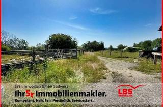 Immobilie kaufen in 73312 Geislingen, **Pferdestall mit großzügigem Reitplatz und Koppeln**