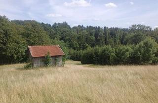 Gewerbeimmobilie kaufen in 83533 Edling, Naturidyll mit Freizeitwert - 2,1 ha Wald, Wiese, Biotop