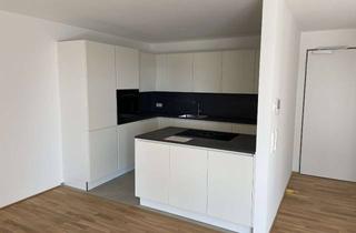 Penthouse mieten in Freudeneggerstr. 57, 89150 Laichingen, Ansprechende 2-Zimmer-Wohnung in Senden, Neu-Bau, Penthouse 2 OG