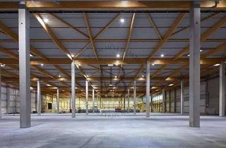 Gewerbeimmobilie mieten in 55457 Gensingen, "BAUMÜLLER AG" - NEUBAU-Projekt - ca. 10.000 m² Logistikfläche