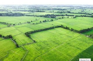 Grundstück zu kaufen in 27616 Beverstedt, Land- / Forstwirtschaft in 27616 Beverstedt, Vorm Dorfe