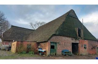 Bauernhaus kaufen in 25774 Lunden, Lunden - Bauernhof für Pferdehaltung auf 4,7 Hektar