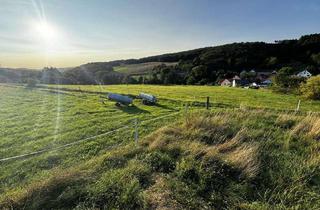 Grundstück zu kaufen in Turnhallenstraße, 67808 Ransweiler, 1A Baugrundstück Grundstück Panorama Aussicht in 67808 Ransweiler