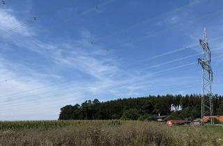 Grundstück zu kaufen in 89257 Illertissen, BLICK INS GRÜNE