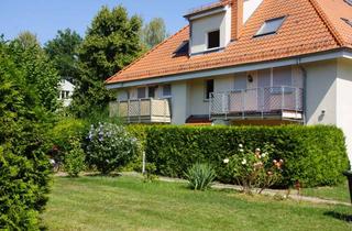 Wohnung mieten in Alt-Lichtenrade 69B, 12309 Lichtenrade, Charmante 3-Zimmerwohnung mit Einbauküche und Dachterrasse