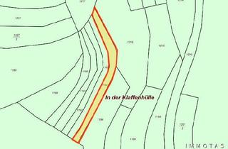 Grundstück zu kaufen in 67806 Rockenhausen, BIETERVERFAHREN - PROVISIONSFREI - Waldfläche aus Nachlass "Wald in der Klaffenhülle"