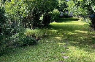 Wohnung kaufen in 67227 Frankenthal, Schöne Innenstadtwohnung mit ausbaufähiger Dachwohnung, kl. Wohnheit, herrlich große Gartenidylle !