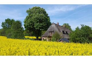 Haus kaufen in Langleben, 24242 Felde, Reetdachkate in absoluter Alleinlage mit ca. 6.000 m² Grundstück