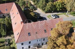 Mehrfamilienhaus kaufen in 01594 Stauchitz, Stauchitz / Seerhausen - SANIERTES RITTERGUT BEI RIESA MIT 50000 ? MIETEINNAHMEN IM JAHR