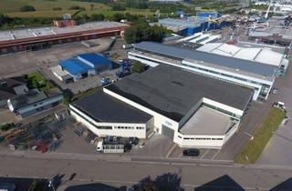 Büro zu mieten in 74889 Sinsheim, Sinsheim | Produktion/Lager mit Bürofläche | ca. 2.400 m² direkt an der Abfahrt A6