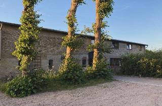 Haus kaufen in 24872 Groß Rheide, Groß Rheide - Resthof LamaAlpakahof zu verkaufen