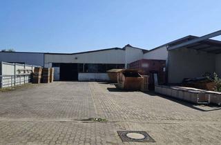 Gewerbeimmobilie mieten in 32289 Rödinghausen, ### Produktionshalle in Rödinghausen ###