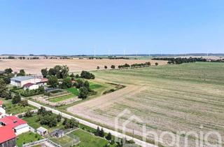 Grundstück zu kaufen in 16306 Zichow, Bauland mit Ackeranteil (ca. 2,3 ha) bei Gramzow - ideal für Ihr neues Haus und Pferd