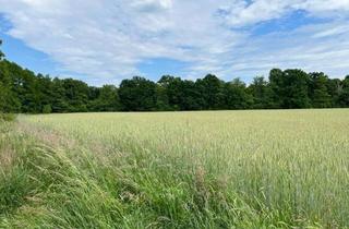 Anlageobjekt in 16348 Wandlitz, DEUTSCHMANN IMMOBILIEN ***** ivd - "Großes Paket" mit Wald-, Forst- und Grünflächen im Barnim!