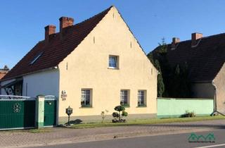 Einfamilienhaus kaufen in 39524 Wust, Schönhausen (Elbe) - Handwerkerhaus mit viel Nebengelass, ideal für Tierhalter