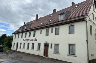 Haus mieten in Wangenmühle, 89522 Heidenheim, Wohnhaus für zahlreiche Nutzungsmöglichkeiten direkt an der Brenz