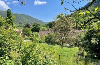 Grundstück zu kaufen in Im Buchental, 67468 Frankeneck, 3.500qm Grundstück mit Bauland im Naturpark Pfälzerwald bei Neustadt Weinstraße