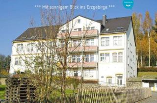 Wohnung mieten in 09423 Gelenau, 2 Zimmer • Balkon • ruhig gelegen • Laminat • Stellplatz • gleich mal anschauen !?