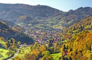 Grundstück zu kaufen in 77883 Ottenhöfen, Bauplatz in sonniger Lage von Ottenhöfen im Schwarzwald!