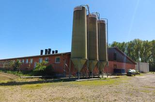 Immobilie kaufen in 32369 Rahden, Außenmaststall mit 2000 Plätzen und landwirtschaftliche Flächen in Rahden (NRW) zu verkaufen gegen Gebot!