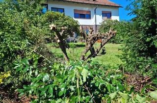 Mehrfamilienhaus kaufen in 95236 Stammbach, Attraktive Kapitalanlage mit ca. 6,8 % Rendite