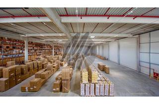 Büro zu mieten in 64859 Eppertshausen, NEUBAU / ERSTBEZUG ✓ AB Q4-2024 ✓ Lager-/Logistik (11.000 m²) & Büro (700 m²)