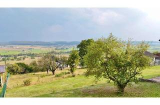 Grundstück zu kaufen in 63691 Ranstadt, 440 m2 /Traumhafter Ausblick / Voll erschlossenes Grundstück in Ranstadt Dauernheim