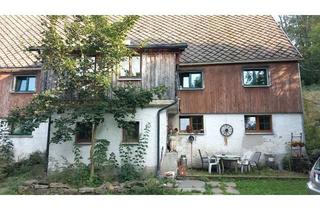 Bauernhaus kaufen in 09623 Rechenberg-Bienenmühle, Bauernhof in Clausnitz