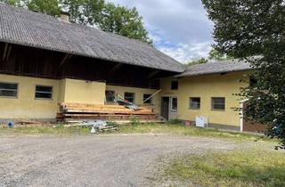 Immobilie kaufen in 92706 Luhe-Wildenau, Ehemaliges landwirtschaftliches Anwesen – ein Vierseithof der Superlative!