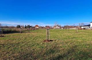 Gewerbeimmobilie mieten in 04931 Mühlberg, Für Naturfreunde: Erholung pur. OBSTWIESE zur Pacht.