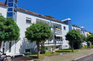 Wohnung mieten in Robert Koch Weg 16, 63538 Großkrotzenburg, Schöne und helle 3 Zi.- im Hochparterre mit 2 gr. Sonnenbalkone- in Großkrotzenburg!