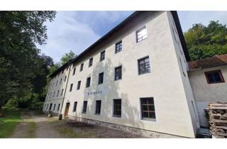 Haus kaufen in Fahnmühle, 93179 Brennberg, Historische Mühle mit großem Wohntrakt und Nebengebäuden mit Herz und Potential nahe Regensburg