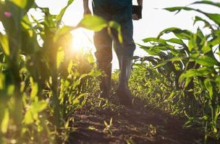 Gewerbeimmobilie kaufen in 85247 Schwabhausen, Landwirtschaftliche Fläche in Oberroth - auch als Ausgleichsfläche oder zur Aufforstung nutzba