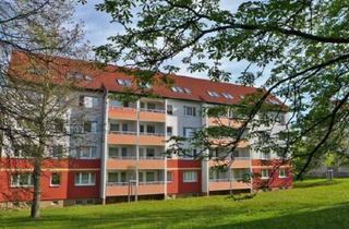 Wohnung mieten in 09212 Limbach-Oberfrohna, Für Treppensteiger die gemütliche Wohnung unterm Dach!