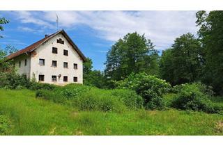 Bauernhaus kaufen in 94374 Schwarzach, Schwarzach - Sanierungsbedürftige Hofstelle in Schwarzach mit viel Grund arrondiert