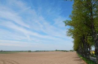 Grundstück zu kaufen in 19073 Zülow, Traumhafte Lage: 8.500 m² Baugrund im Süden von Schwerin