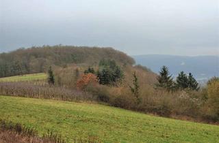 Gewerbeimmobilie kaufen in 56154 Boppard, Im Mittelrheintal: 8,5 Hektar besondere Waldstücke ehm. Bergwerk