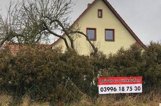 Einfamilienhaus kaufen in 17166 Teterow, Teterow - Großzügiges Einfamilienhaus am Rande von Teterow