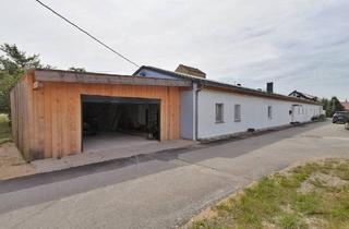 Haus kaufen in 92342 Freystadt, Freystadt - Unabhängigkeit und viel Platz genießen in ebenerdiger, barrierefreier Bungalow-DHH: Zukunftsgerecht vorbereitet mit Ausblick auf den Wald!