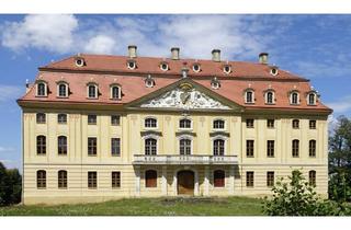 Gewerbeimmobilie mieten in Am Schloss, 01454 Wachau, REPRÄSENTATIVE GEWERBEFLÄCHE im Schloss Wachau - großer historsicher Raum mit Balkon