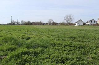 Gewerbeimmobilie kaufen in 79235 Vogtsburg, Zu verkaufen: Landwirtschaftsfläche in Burkheim