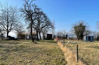 Gewerbeimmobilie kaufen in 78315 Radolfzell, Reines Freizeitgrundstück mit Bodenseeblick - nicht bebaubar