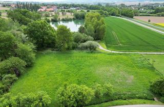 Grundstück zu kaufen in 31867 Messenkamp, RUDNICK bietet: NATUR + 1A ANBINDUNG: 3 Grundstücke einzeln oder als Ganzes