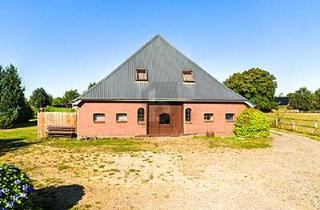 Bauernhaus kaufen in 25788 Hollingstedt, Hollingstedt - INTERESSANTE RENDITE MIT VIEL AUSBAUPOTENZIAL