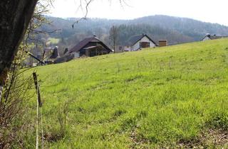 Grundstück zu kaufen in 35719 Angelburg, Baugrundstück am Ortsrand in einem Ortsteil von Angelburg